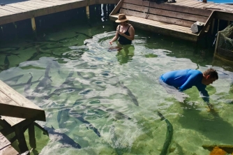 Roatan East End Tour – Saint Helene & Mangroves